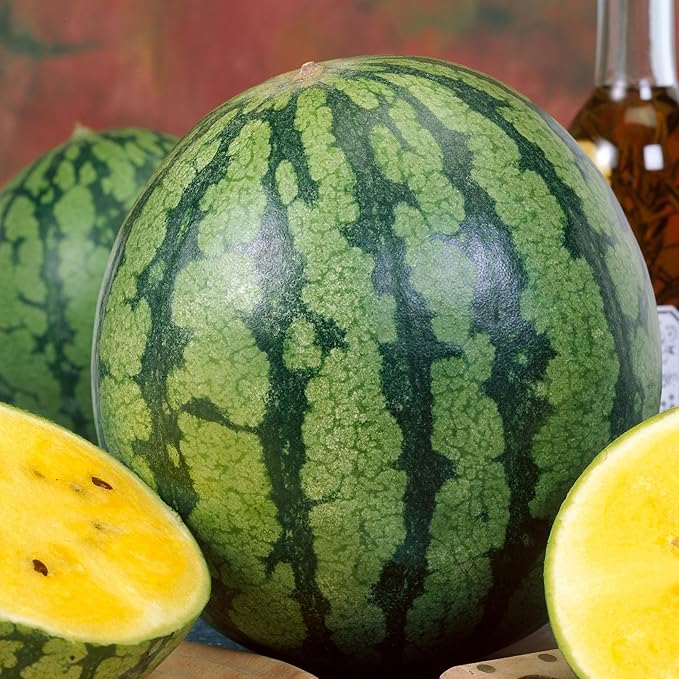 Yellow Gem Sweet Watermelon Seeds - 1 Oz ~400 Seeds - Non-GMO - Fruit &amp Vegetable Garden - Citrullus lanatus