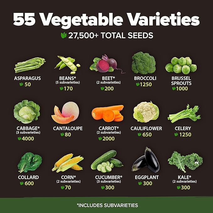 55 Vegetable Seeds &amp 15 Culinary Herb Seeds Pack – 32500+ USA Non-GMO Heirloom Seeds for Planting – Survival Garden Kit for Preppers – Gifts for Gardeners Men Women