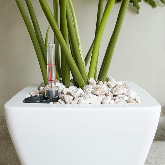 2 Pack Smart Self Watering Planter Pot for Indoor and Outdoor White Square Cone