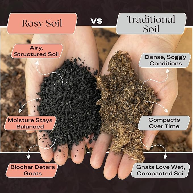 Rosy Soil Cactus and Succulent Potting Soil Mix for Houseplants - Fast Draining Organic Potting Soil for Succulents AloeVera Indoor Plant - Root Boosting for Drought Tolerant Growth Pack of 2