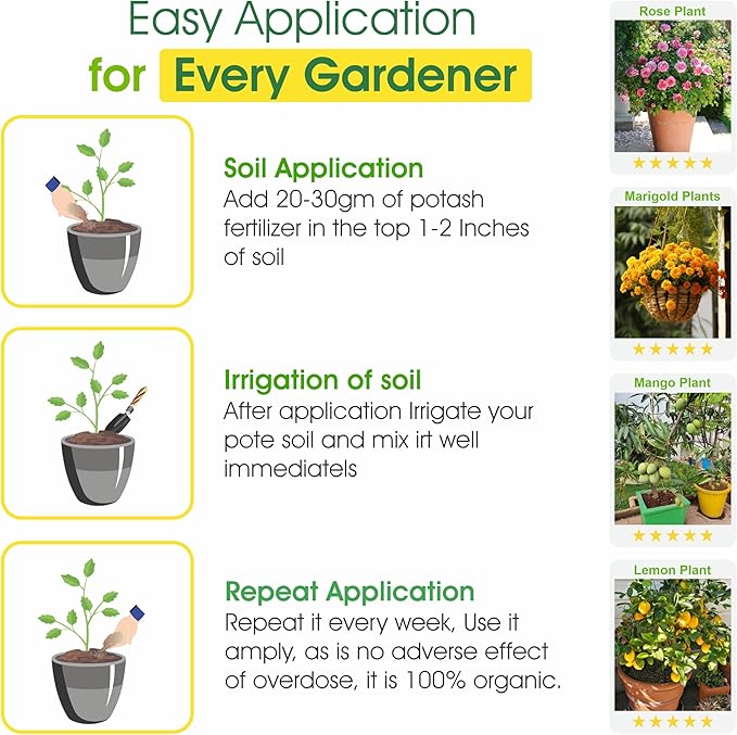 Go Garden Potash Organic Fertilizer for Plants | All Purpose for Plant Health Flower Fruit Plant Growth- 5 Kg Powder