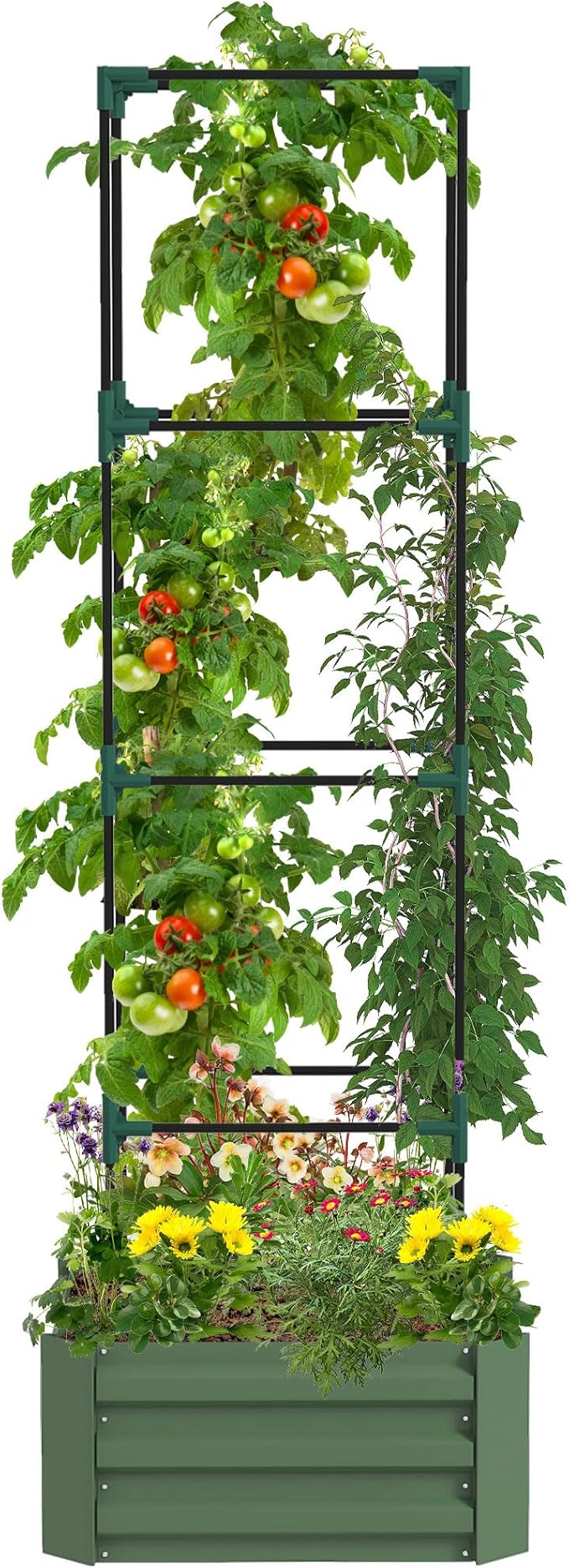 Galvanized Steel Raised Garden Bed with Built-in Trellis 24x24 Open Bottom for Climbing Plants &amp Vegetables Backyard Gardening