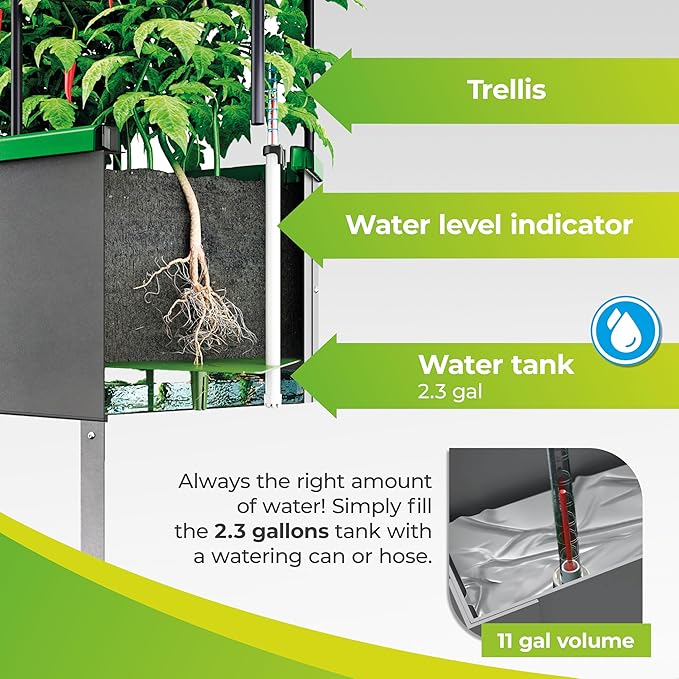 BioGreen Raised Garden Bed with Trellis Heidelberg | 11 gal | 1“L x 2.3“W x 7.6“H | Self-Watering Metal Planter Box | Ideal Growth for Climbing Plants