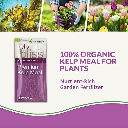 Kelp Bliss (10lbs) - Kelp Meal Organic Fertilizer for Plants Garden Soil Flowers Vegetables &amp Lawns - Organic Kelp Fertilizer &amp Soil Amendment - Natural Plant Food Rich in Vitamins &amp N