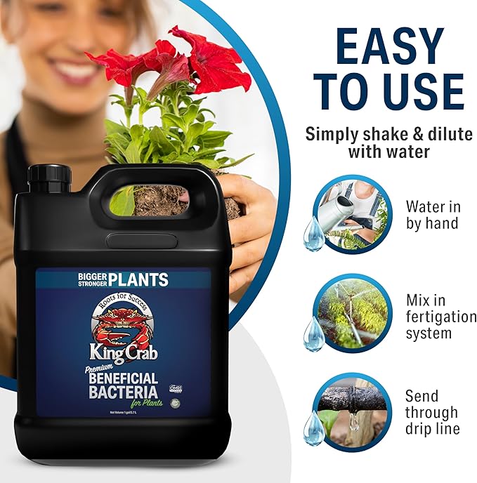 King Crab Instant Compost Tea Root Stimulator for Plants Ultra Concentrated OMRI Organic Bacteria 275 Million Organisms per ml Roses Tomatoes Houseplants Soil Conditioner Soil Microbes