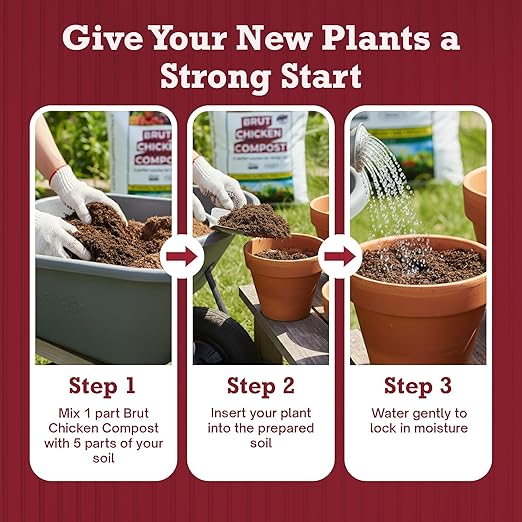 Brut Chicken Compost – Nutrient-Rich 100% Composted Chicken Manure Soil Amendment – Safe Pure Organic Compost – Additive-Free Soil Fertilizer for Vegetable Gardens Flowers Indoor Plants – 1CubicFt
