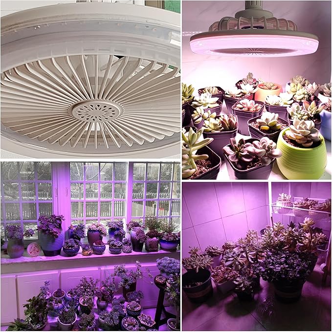 Full Spectrum Plug-in Lamp with Integrated Circulating Fan Timer Swag Hanging Boho Plant Growing Light by Remote Control Hemp Rope Cord Dimmable for Indoor Planting Portable 30W
