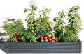 LuxenHome Galvanized Raised Garden Bed Kit 6x3x1ft Raised Garden Bed Outdoor Rectangular Metal Gardening Planter Box Large Plant Pot Planting Bed Gardening Tools for Vegetables Flowers Herbs