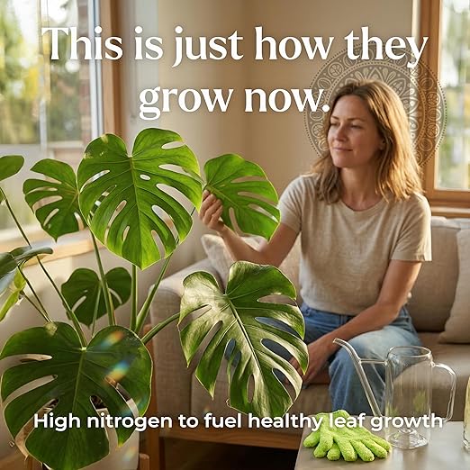Big Green Leaves Indoor Plant Food – 4X Concentrated Houseplant Fertilizer with Sea Kelp – Makes 90 Gallons – Fast-Acting Mineral Formula Made in USA (1 lb)