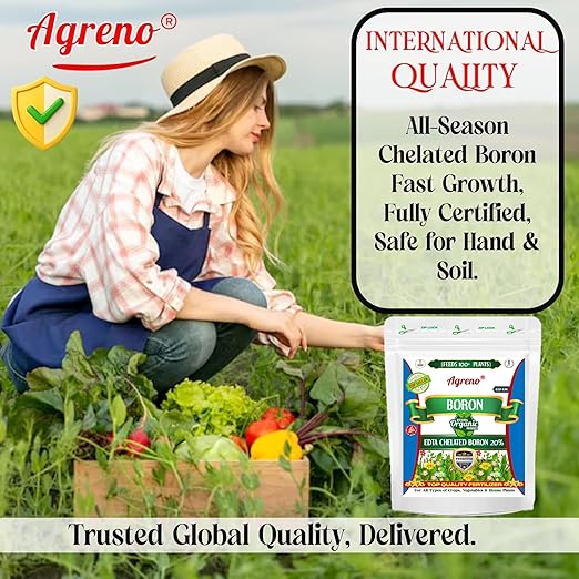 Agreno® Chelated Boron - 20% EDTA Powerful Essential Organic Fertilizer for Fast Growth of All Plants. (450 gm)