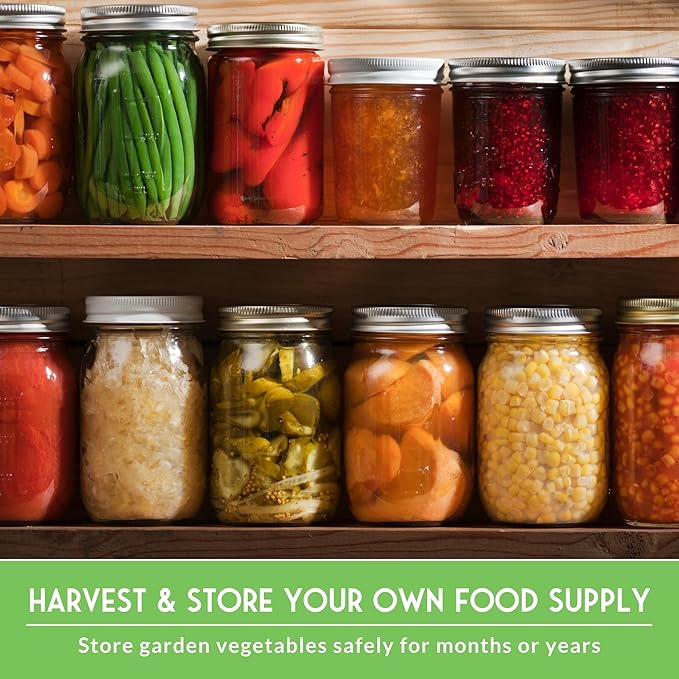 Home Garden Vegetable Seeds 30 Variety Pack – Heirloom Seed Vault Kit for Planting Non-GMO Vegetables Herbs Fruit – Emergency Preparedness Survival Food Grow Kit – Survival Garden Seeds (18500+)