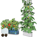 Smart Hydroponic Growing System Kit Safe and Durable Indoor Gardening System Suitable for Growing Tomatoes Melons Vegetables Cabbage Peppers Herbs Flowers and Other Plants (7L)