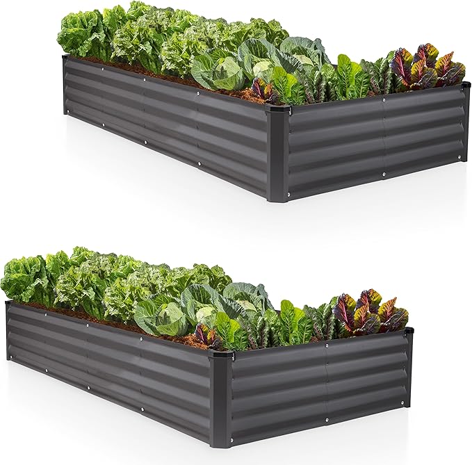 Plant &amp Plot Galvanized Raised Garden Beds Outdoor // 8×4×1 ft (2-Pack) Planter Raised Beds for Gardening Vegetables Flowers // Large Metal Garden Box // Patented Tool-Free Design (Dark Gray)