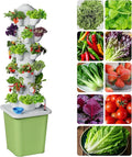 Hydroponics Growing System Kit 30 Pots Vertical Garden Planter with Pump and Timer Hydropoic Tower for Soilless Cultivation Herbs Fruits Vegetables Plant Gift for Gardening Lover(No Seed)