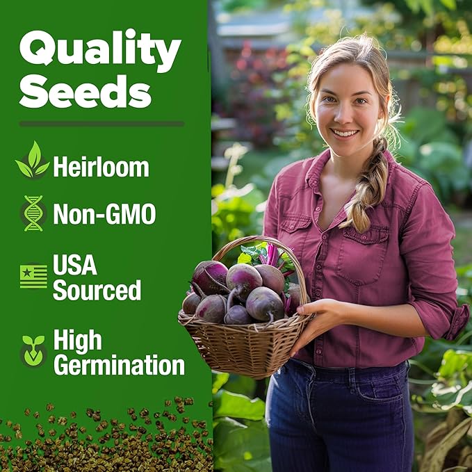 HOME GROWN 𝗨𝗦𝗔 𝗣𝗥𝗘𝗠𝗜𝗨𝗠 Jalapeno Pepper Seeds &amp Beefsteak Tomato 300 &amp Persian Cucumber 50 &amp Detroit Dark Red Beet - 500