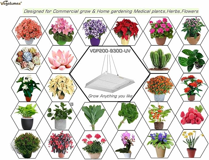 VGP2000 LED Grow Light with UV IR Diodes Actual 200 Watt 3x3 4x4ft Coverage Sunlike Full Spectrum Led Growing Lamp Driver Dimmable for Indoor Plant Seedling Veg Bloom Hydroponics Greenhouse