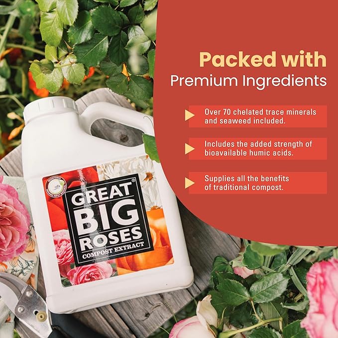 Great Big Roses – Soil and Rose Fertilizer Booster to Grow The Best Roses and Flowers Rose Food Compost Extract for Rose Bush 2.5 Gallon Concentrate (Makes 80 Gallons)
