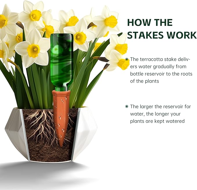 Large Terracotta Watering Spikes with Lids Automatic Plant Waterer Outdoor | Indoor Vacation Friendly Clay Plant Watering Devices System Slow Release Self Watering Planter Insert 4 Pack
