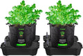 VIVOSUN 4-Pack FlexFeed Self-Watering Pots with Grow Bags Auto Irrigation Fabric Pot Base with Water Meter &amp Maintenance Window for Use Indoors/Outdoors in Grow Tents Greenhouses Gardens