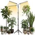 Grow Light with Stand for Indoor Plants3500K Warm White Plant Light with Red Blue LEDs for Indoor Tall Large Plants GrowingDimmable &amp Auto TimerHeight Adjustable 17-61