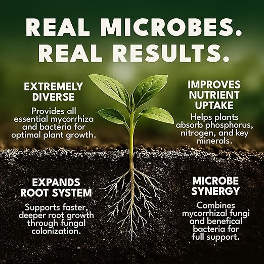 Dirty Green Microbe Blend Mycorrhizal Fungi &amp Beneficial Bacteria Inoculant – 4 oz Powder 1000 Spores/g Organic Root Booster for All Plants (No Fillers)