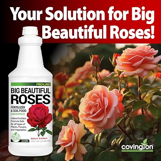 Covington Liquid Rose Fertilizer for All Types (32oz) – Liquid Concentrate for Desired Rose Tone – Natural Flower Bush Fertilizer for Indoor &amp Outdoor Use – Bloom Growth Plant Food