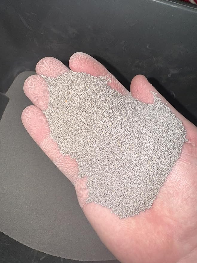 Micro Clover - (8oz) Nitro-Coated 120000 Total Seed - Covers Up to 1000 Sqft! Transform Your Lawn with Seeds that are Eco-Friendly Low Maintenance and Drought-Tolerant.