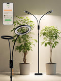 Smart Grow Lights for Indoor Plants48W 2-Head Plant Light with Auto-Timer Full Spectrum LED Grow Light Adjustable Height &amp Stepless DimmingPlant Assistant Suitable for Most Plants (Black 48W)