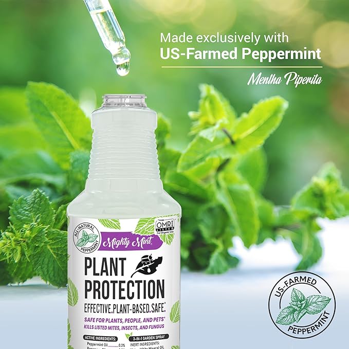 Mighty Mint Peppermint Oil Plant Protection Spray – Insect &amp Pest Control for Gnats Spider Mites &amp Aphids – Plant-Based Easy-to-Use - 16 oz