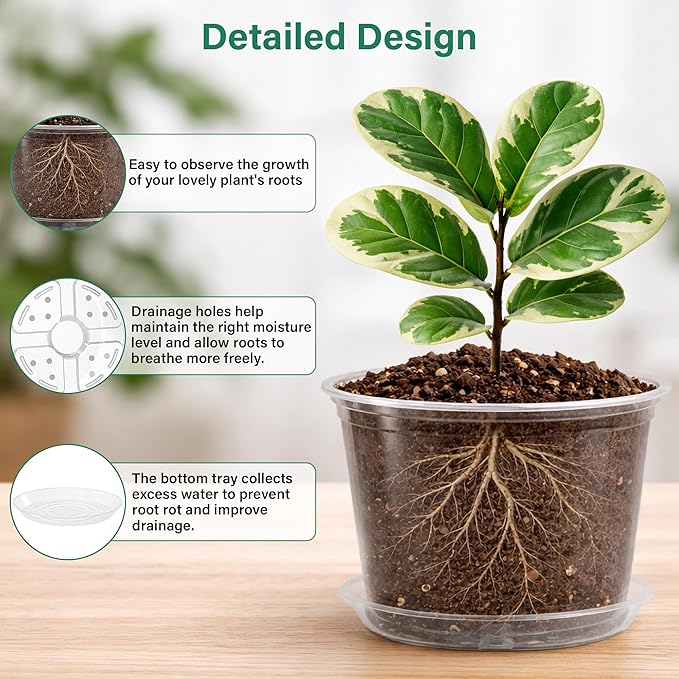 8 Packs 8 Inch Reinforced Large Clear Nursery Pots with Saucers Transparent Plastic Plant Pot Seedling Planter with Drainage Holes for Vegetable Propagation Root Cutting Seed Starting