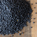 Organic Black Lentil Seeds - 1 Lb ~9600 Seeds - Heirloom Non-GMO Vegetable Garden &amp Sprouting - Indian Lentils