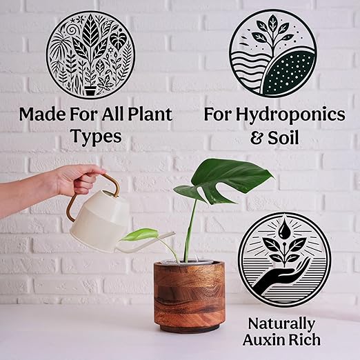 Organic Liquid Kelp &amp Seaweed Extract (Ecklonia Maxima) Plant Super Food - Indoor Houseplant Fertilizer - Organic Fertilizer for Flowers Seedlings &amp Gardens - 12oz Treats 75 Gallons