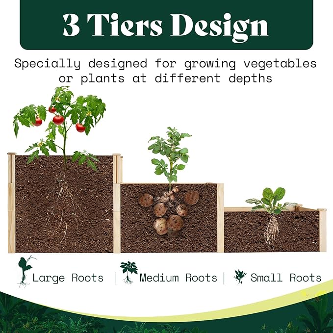 AMERLIFE 3-Tier Raised Garden Bed for Outdoor Gardening Fir Wood Planter Box with Dividers Tool-Free Assembly Garden Box Perfect for Vegetables Herbs and Flowers