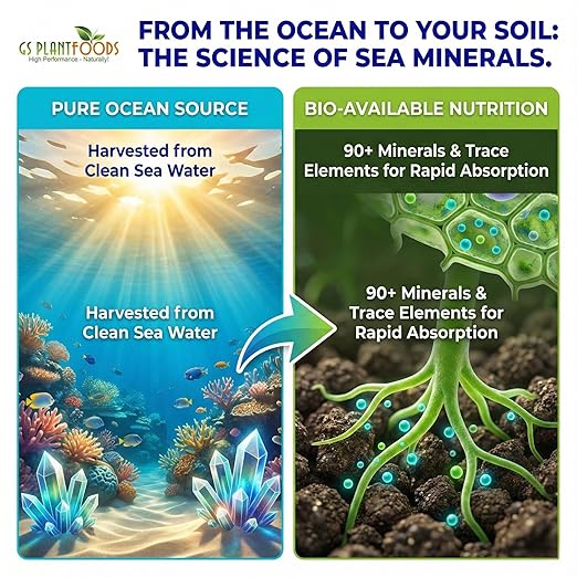 Ocean Magic Sea Minerals 32 fl. oz.