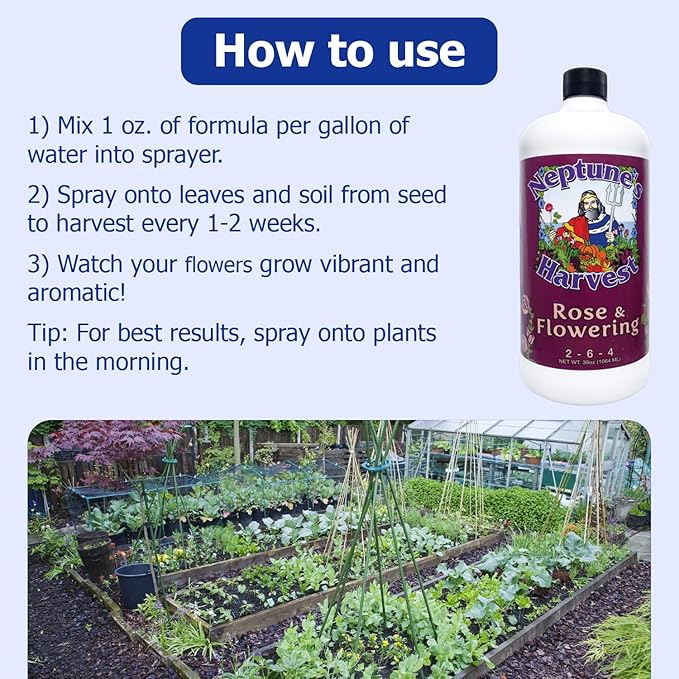Neptune's Harvest Rose &amp Flowering Fertilizer (2-6-4) - 36oz Bottle - Organic Liquid Food for Vibrant Blooms &amp Growth - Promotes Healthy Foliage - Ideal Fertilizer for Indoor &amp Outdoor Use