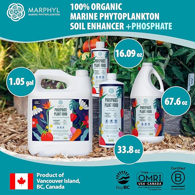 MARPHYL Organic Liquid Phosphate Soil Enhancer – Phosphorus Fertilizer for Root Development &amp Bloom Support Ideal for Garden Flowers Vegetables Succulents &amp Hydroponics