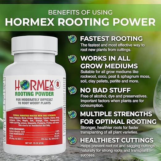 Hormex Rooting Powder #8 &amp Vitamin B1 Hormone Concentrate Combo - Root Stimulator for Semi-Hardwood Cuttings &amp Liquid - Perfect for Hydroponics House Plants Gardens Fruits &amp Vegetables