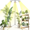 Full Spectrum Grow Lights for Indoor Plants 3 Heads Aluminum Alloy Growing Lamps Covers More Plants 15-62In Height Adjustable Plant Light with Detachable Tripod Stand Auto On/Off Timer for Offices
