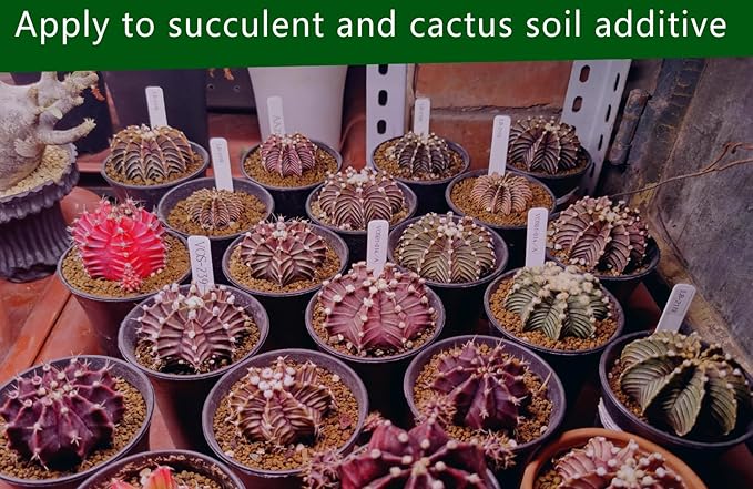 Horticultural Akadama Soil - Cactus Bonsai Succulent Soil Additive for Plants Landscaping Vase Fillers (10 LB 1/4 inch Soft-Grade Akadama)