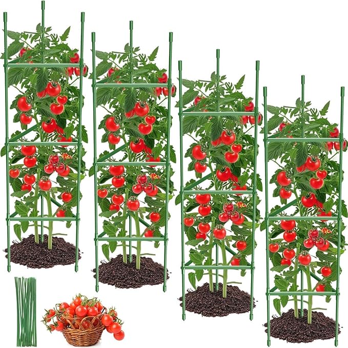 4PCS Tomato Cages for Garden Tomato Trellis for Raised Garden Bed 51.2 Tall Cage Plant Support for Pots Gardening Supplies Trellis for Climbing Plants (4PCSHigh: 51.2 Inch)
