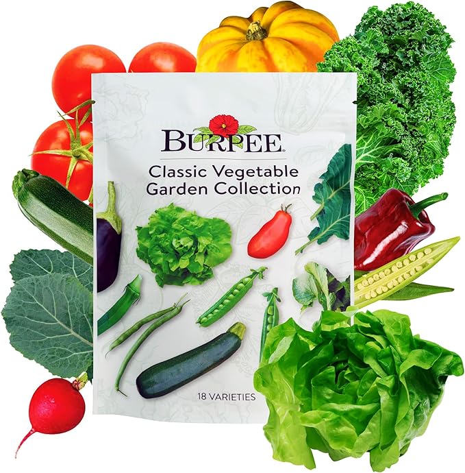 Burpee Heirloom Vegetable Seeds - 15000+ Seeds - Beans Beets Cauliflower Celery Collards Cucumber Eggplant Kale Lettuce Okra Onion Pea Sweet Pepper Radish Squash Tomato Turnip