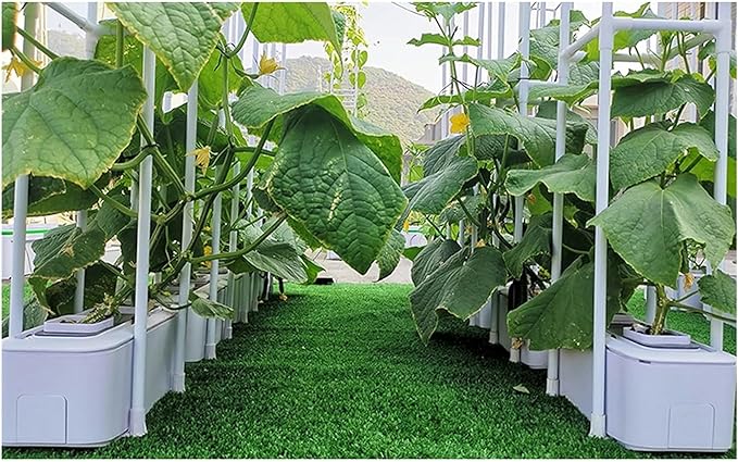 Hydroponics Growing System Smart Hydroponics Growing System with Controller Auto Remind Self-Watering Planter 60 Climbing Trellis for Cucumber Tomato Hydroponic Tower (1 White)