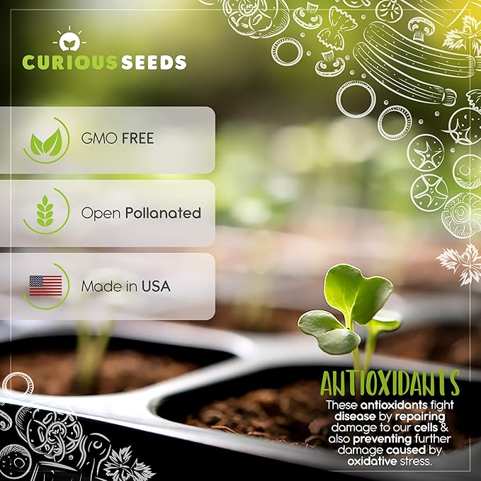 Exotic Vegetable Seeds Variety Pack - 6 Curious Garden Varieties to Grow Non GMO Open Pollinated Heirloom and Untreated for Planting Unique Gardening Gift for Indoors and Outdoors