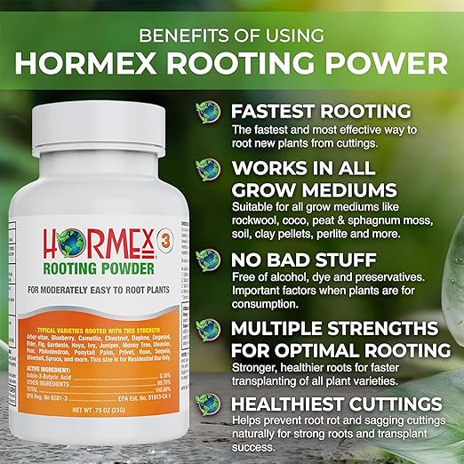 Hormex Rooting Powder #3 &amp Vitamin B1 Hormone Concentrate Combo - Root Stimulator for Semi-Softwood Cuttings &amp Liquid - Perfect for Hydroponics House Plants Gardens Fruits &amp Vegetables
