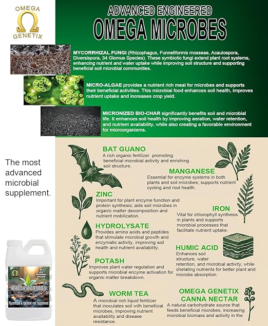 Soil Microbes | Beneficial Soil Bacteria &amp Fungi | 34 Glomus Species