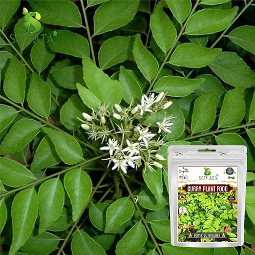 Sovata® Curry Plant Food Powerful Organic Fertilizer for Overall Healthy Growth of Curry Plants. (900 gm)