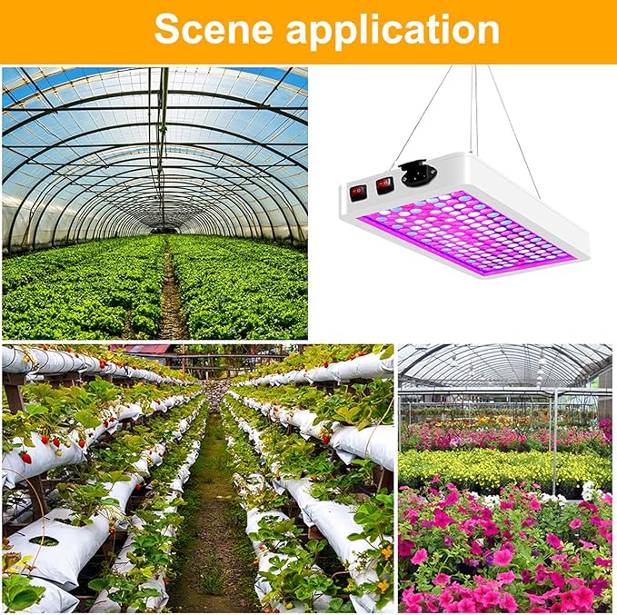 Pl Grow LED Succulent Fill Full Spectrum Vegetable er Indoor Pl High Efficiency Heat Dissipation Dual Switch Design Switchable Pl Gg/ering/Fruiting Se