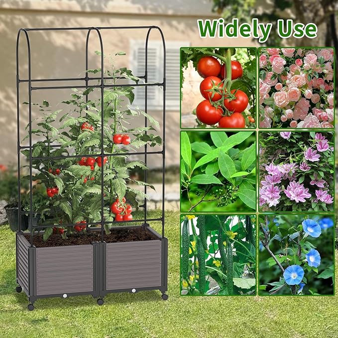 Raised Garden Bed Outdoor Planter Box with Trellis and Wheels Tomato Planter Cage with Trellis Indoor Outdoor Patio Self Watering Planters for Climbing Plants Vegetable Flowers