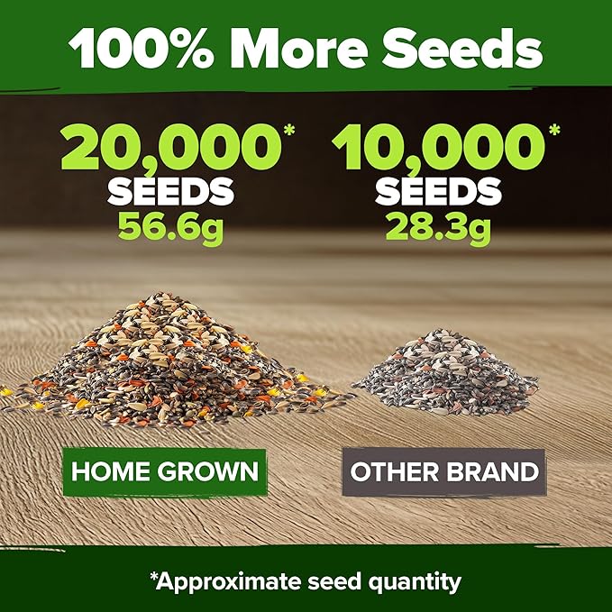 HOME GROWN Pollinator &amp Pumpkin Garden Mix – 40 Pumpkin &amp 20000 Monarch Butterfly Wildflower Seeds &amp 23500 Moss Rose Seeds – Non-GMO USA Heirloom for Outdoor Planting