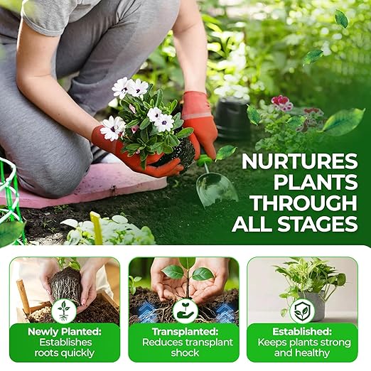 Five Star Arbor Pro 15-8-4 Liquid Fertilizer with Minors for Healthy Growth &amp Vibrant Plants - Slow-Release Nitrogen with Lasting Chelated Micronutrients for Trees Shrubs &amp Ornamentals - 1 Ga